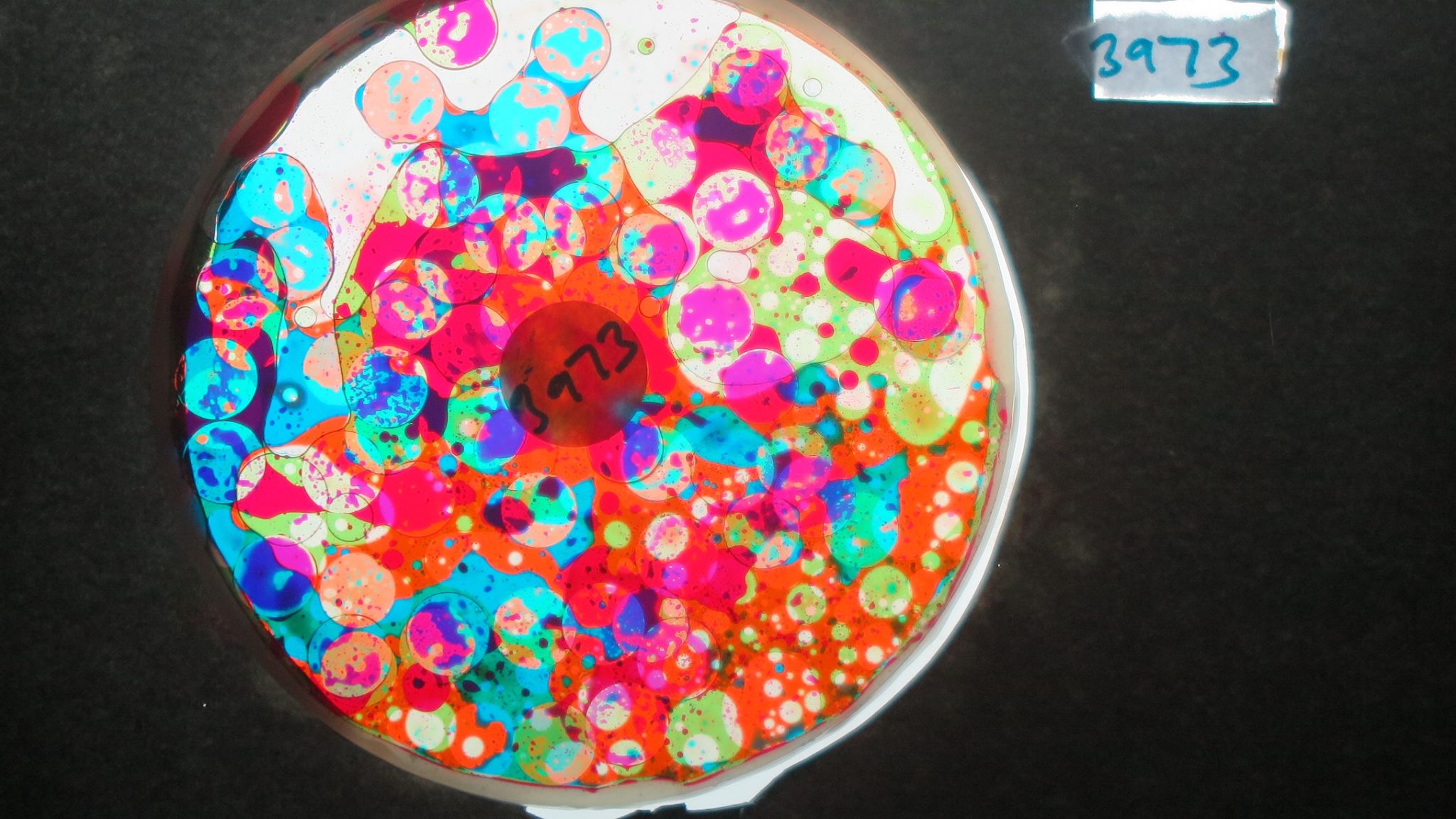 BV3973 bubble vision oil wheel